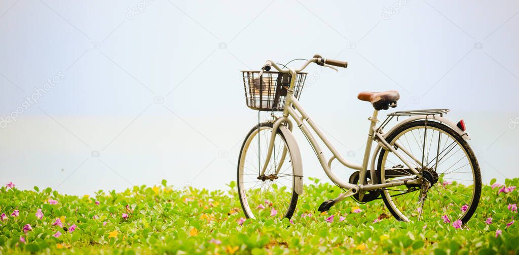 bicycle with basket on blooming green lawn