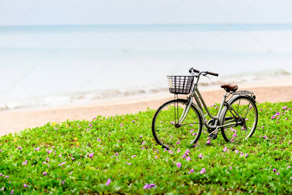 bicycle with basket on blooming green lawn