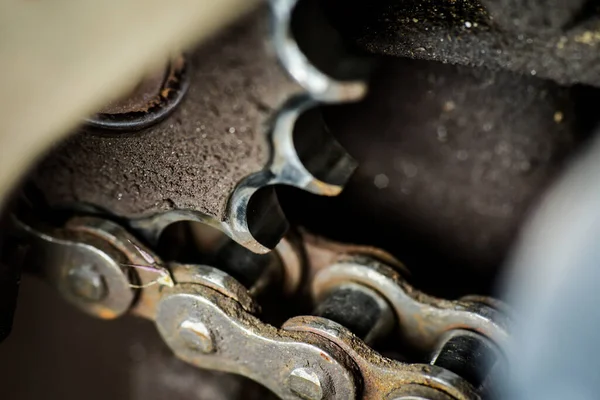 Dirty sprockets and chains show signs of wear and tear.