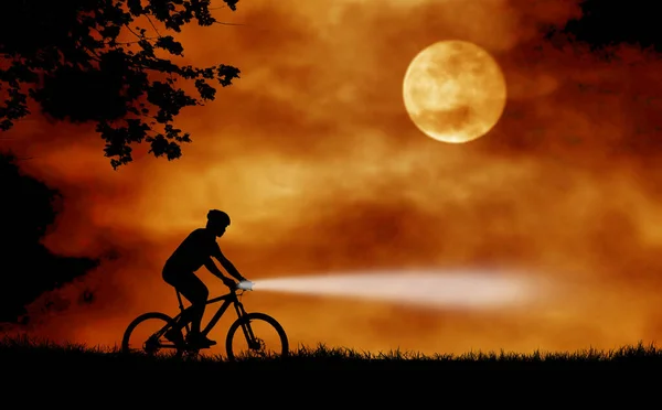 silhouettes of man and bicycle on hilltop with moon in sky