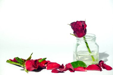 Kırmızı gül çiçeklerini kavanoza koy, boşluğu kopyala