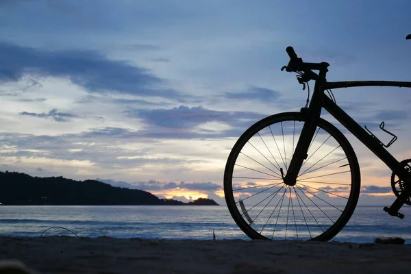 Sylwetka Rowerów Górskich Zaparkowanych Brzegu Morza Wieczorem Tle Zachodu Słońca — Zdjęcie stockowe