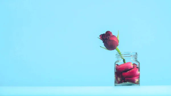 把红玫瑰花放在罐子里 复制空间 — 图库照片