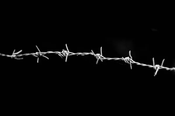 Close Shot Barbed Wire — Stock Photo, Image