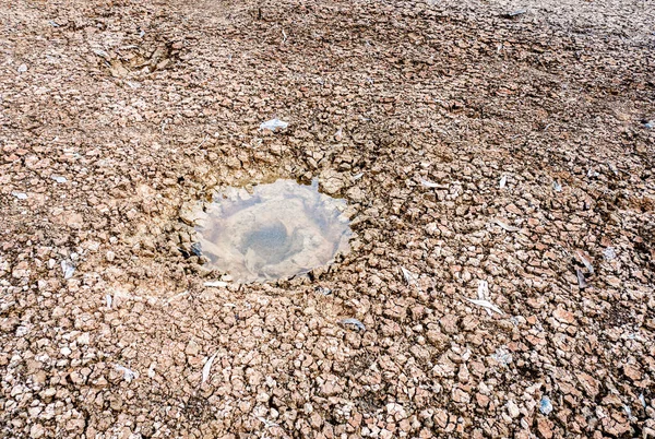 Pequena Lagoa Meio Terra Seca — Fotografia de Stock