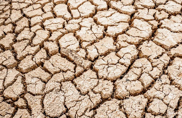 cracked arid soil, global warming concept
