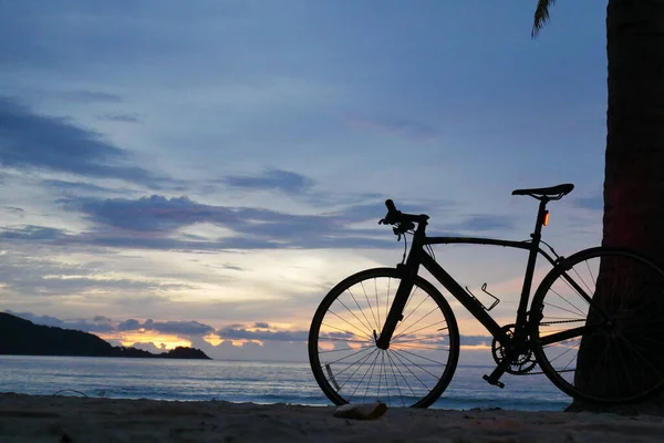 silhouette of mountain bike parked at sea shore in evening on sunset background