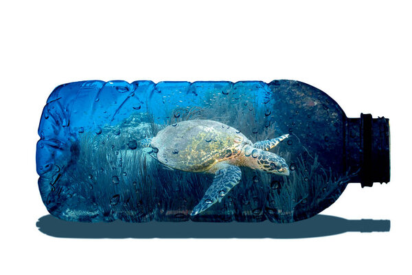 Natural concept design image in a clear bottle. The concept of plastic waste in nature