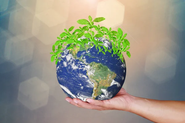 Världen Händerna Ett Litet Träd Växande Naturskyddskoncept Förändring För Att — Stockfoto