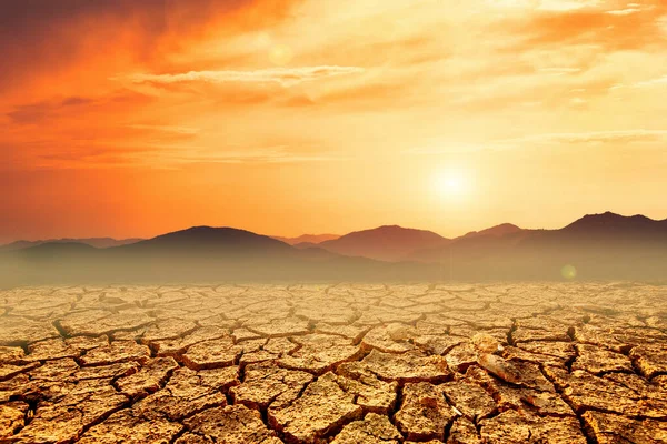 Terre Est Fissurée Pluie Tombe Pas Saison Une Sécheresse Due — Photo