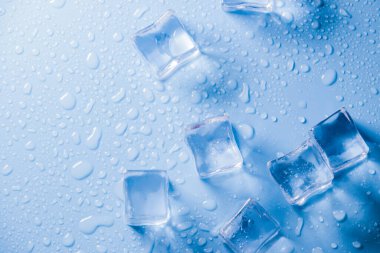 Buz küplerinin makro görüntüsü ve mavi arkaplanda boş boşluğu kopyalayan su damlaları. Mavi arkaplana dağılmış su damlaları olan buz küpleri