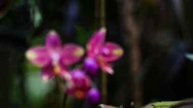 Parlak renkli güzel çiçekler tazelik verir.