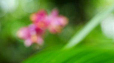 Parlak renkli güzel çiçekler tazelik verir.