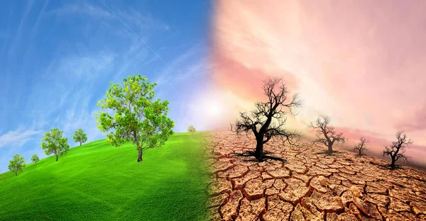 Begreppet Torka Miljö Förändring Och Global Uppvärmning — Stockfoto