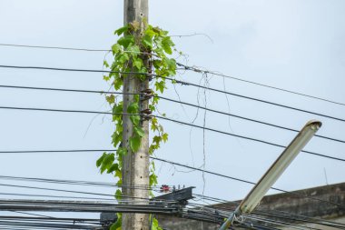 Şanzıman direkleri bakımsız çünkü bakımları yapılmıyor. Çok tehlikeli olabilir. güvenlik kavramı