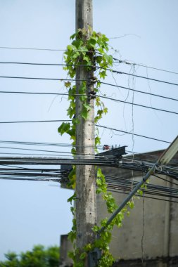 Şanzıman direkleri bakımsız çünkü bakımları yapılmıyor. Çok tehlikeli olabilir. güvenlik kavramı
