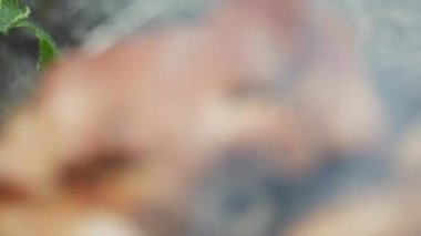 Kamp sırasında kömürde domuz kızartması.