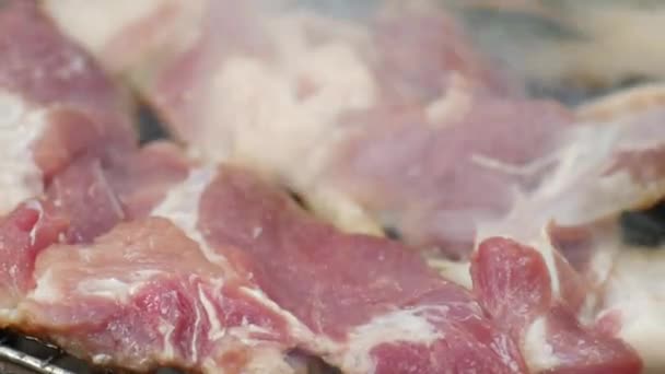 Varkensvlees Roosteren Houtskool Tijdens Het Kamperen — Stockvideo