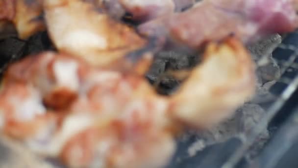 Daging Babi Panggang Atas Arang Selama Berkemah — Stok Video
