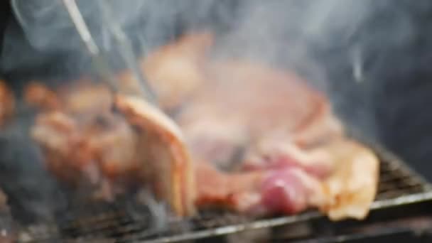 Assar Carne Porco Sobre Carvão Vegetal Durante Acampamento — Vídeo de Stock