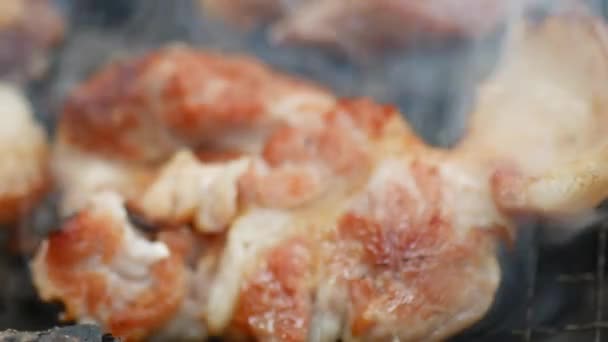 野营时用木炭烤猪肉 — 图库视频影像