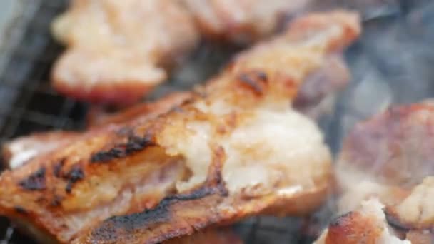 野营时用木炭烤猪肉 — 图库视频影像