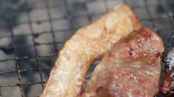 Schweinebraten Über Holzkohle Beim Zelten — Stockvideo