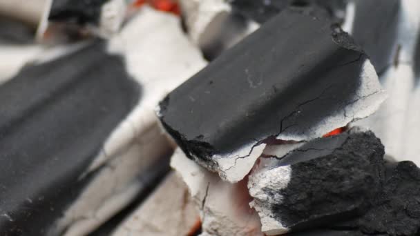 Primer Plano Briquetas Carbón Sin Humo Para Cocinar — Vídeos de Stock