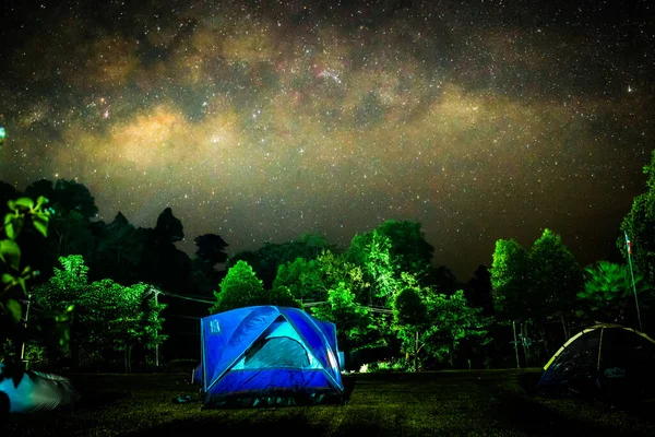 Blue tent camping in the night forest with the Milky Way in the background (actual image not edited)