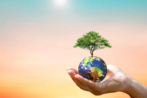 Hand Hålla Jorden Med Träd Naturen Bakgrund Miljö Koncept — Stockfoto