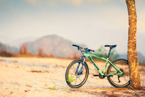 Uma Bicicleta Montanha Estacionada Contra Uma Árvore Caminho Road Julho — Fotografia de Stock