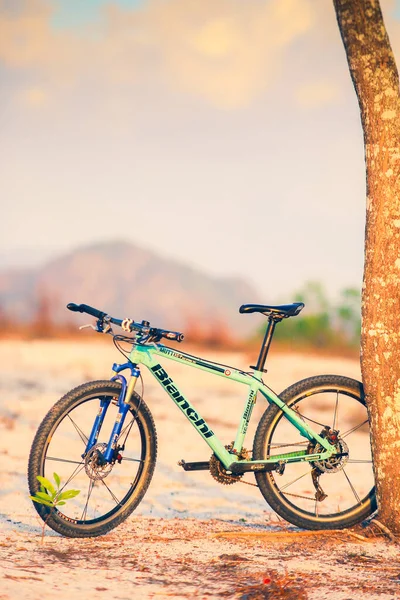 Гірський Велосипед Припаркований Біля Дерева Бездоріжці Липня 2021 Року Сурат — стокове фото