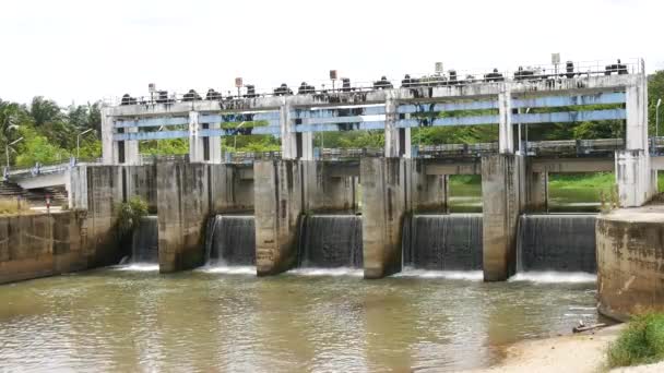 Dams Block Small Canals Rural Irrigation Systems — Stok video