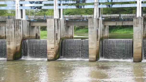 Dams Block Small Canals Rural Irrigation Systems — Vídeos de Stock