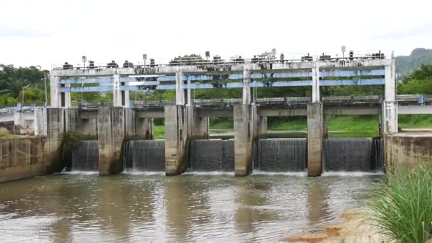 Dammar Blockerar Små Kanaler Bevattningssystem Landsbygden — Stockvideo