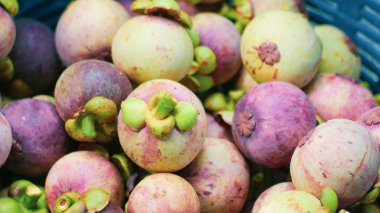 Bir sepet içinde bir sürü olgunlaşmış mangosteen..