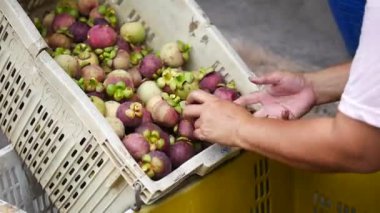 Pazarda elinde taze sebze sepeti tutan bir kadın. 