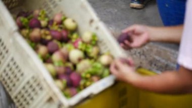 Pazarda elinde taze sebze sepeti tutan bir kadın. 