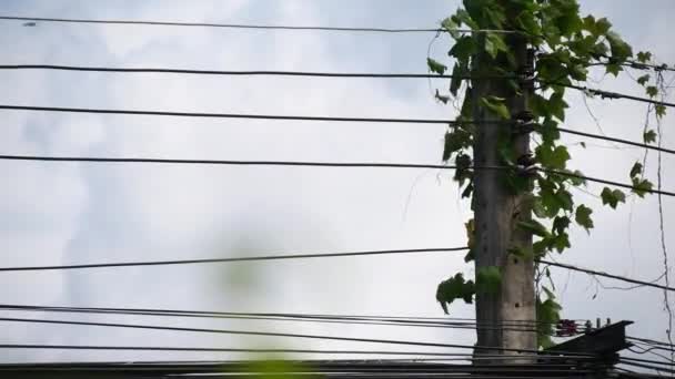 青い空を背景に電気ワイヤー — ストック動画