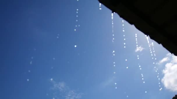 美丽蓝天背景上的水滴 — 图库视频影像