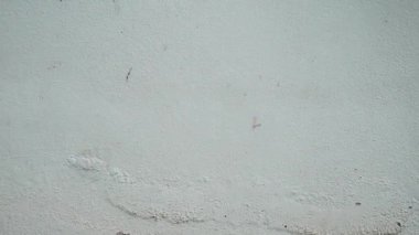 Çatlakları ve çizikleri olan beton bir duvarın dokusu 