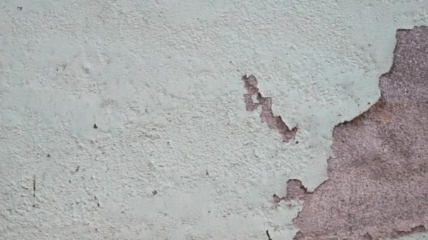 Textura Una Pared Hormigón Con Grietas Arañazos — Vídeos de Stock