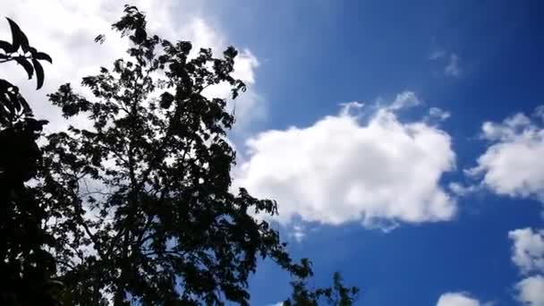 Bulutlar Gökyüzü Soyut Arka Plan Doğa Konsepti — Stok video