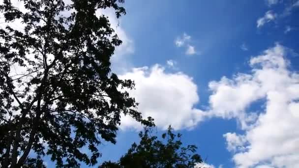 Bulutlar Gökyüzü Soyut Arka Plan Doğa Konsepti — Stok video
