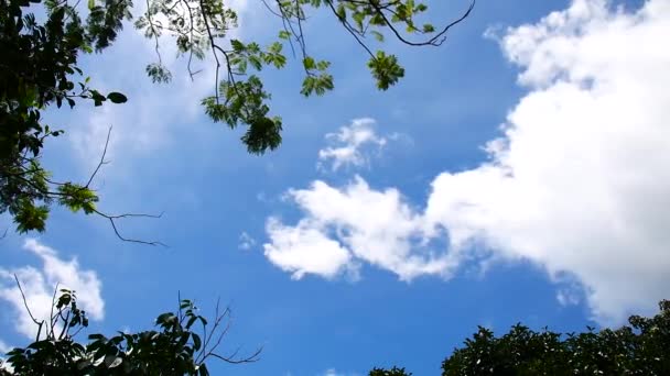 Nubes Cielo Como Fondo Abstracto Concepto Naturaleza — Vídeos de Stock