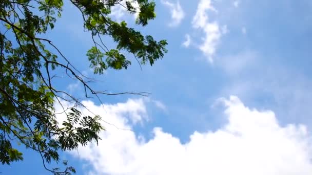 Хмари Небо Абстрактний Фон Концепція Природи — стокове відео