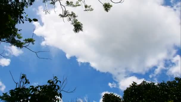 Mraky Obloha Jako Abstraktní Pozadí Přírodní Koncept — Stock video