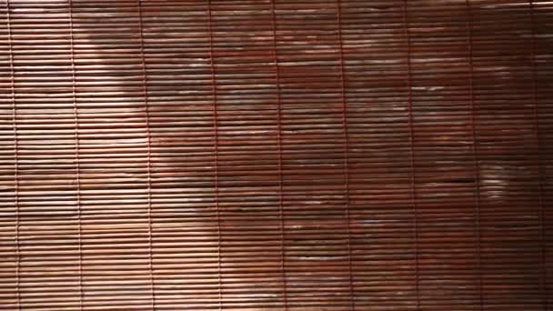 Bambusowa Mata Tekstura Tła — Wideo stockowe