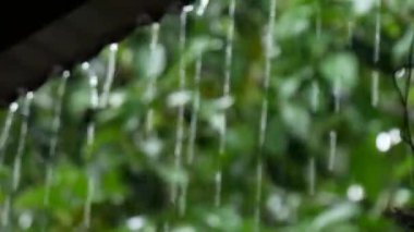 Doğal arkaplandaki su damlalarının görüntüsünü kapat