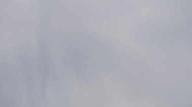 Tayland 'daki Çin tapınaklarının ejderhaları, mimari konsepti.